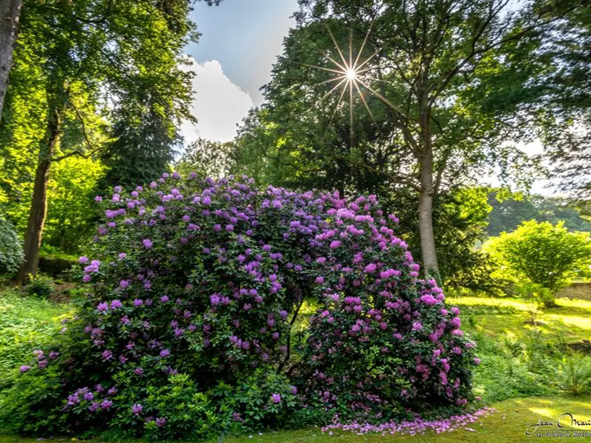 Rendez-vous au jardin du Château d'Hausen