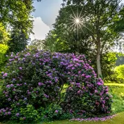 Rendez-vous au jardin du Château d'Hausen