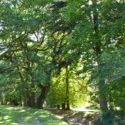 Rendez-vous au Jardin - Parc du Château de la Chezotte