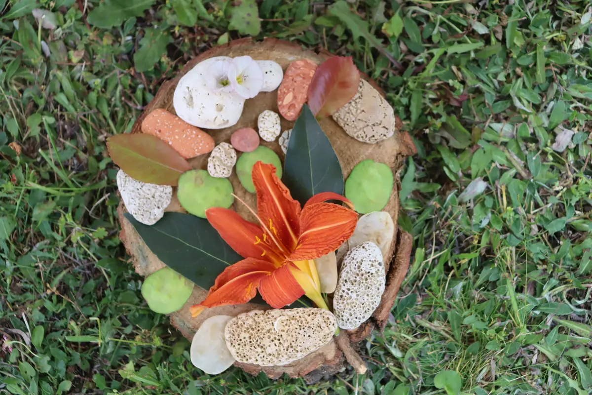 Rendez-vous aux jardins