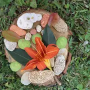 Rendez-vous aux jardins