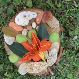 Rendez-vous aux jardins