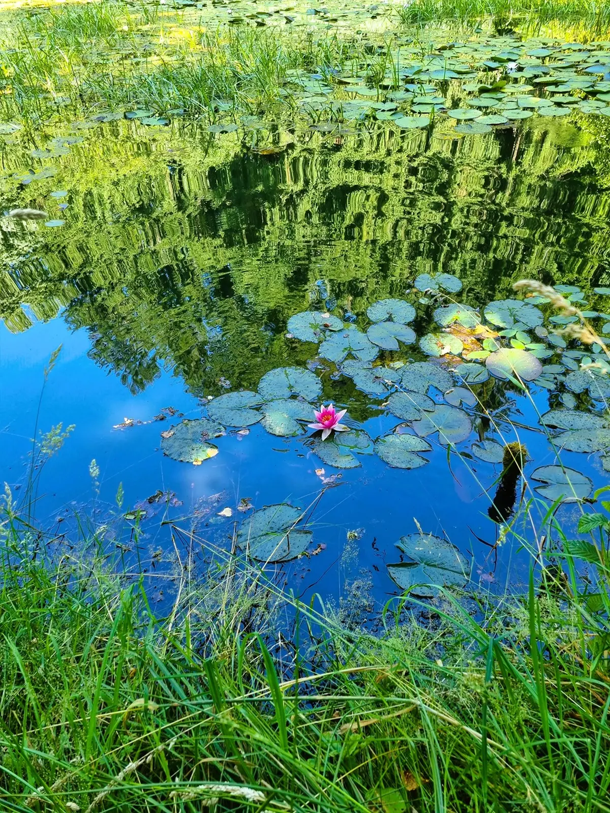 Rendez-vous aux jardins à l'arboretum Al Gaulhia