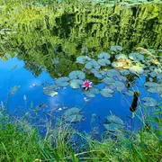Rendez-vous aux jardins à l'arboretum Al Gaulhia