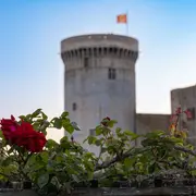 Rendez-vous aux jardins au château Guillaume-le-Conquérant