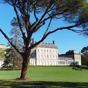 Rendez-Vous Aux Jardins - Château De Pech Redon