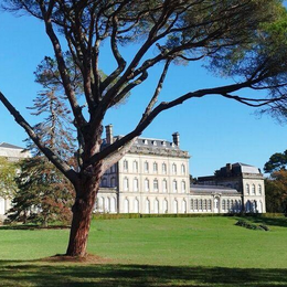 Rendez-Vous Aux Jardins - Château De Pech Redon