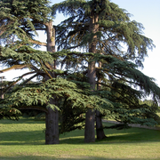 Rendez-vous aux jardins : Château Pierrail