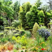 Rendez-vous aux jardins | Découverte d\'un jardin botanique de bambous