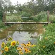 Rendez-Vous aux Jardins - Jardin de Jan à Branceilles
