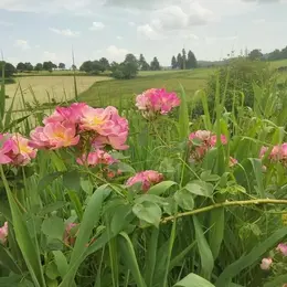 Rendez-vous aux jardins : Jardin la Bourdasse