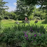 Rendez-vous aux Jardins - Jardin vivrier et paysager de La Bennerie