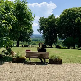 Rendez-vous aux Jardins - La Vue