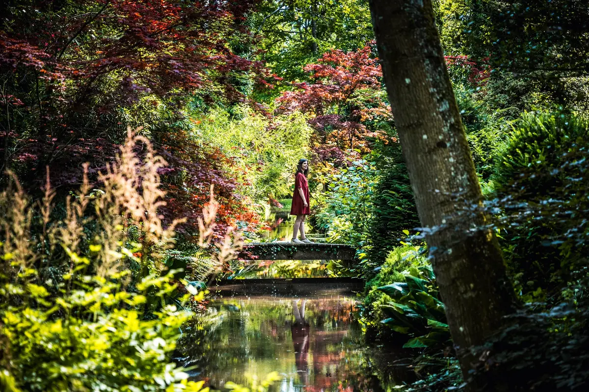 Rendez-vous aux jardins : La vue