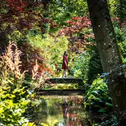 Rendez-vous aux jardins : La vue