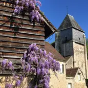 Rendez-vous aux jardins - Lavardin en fête