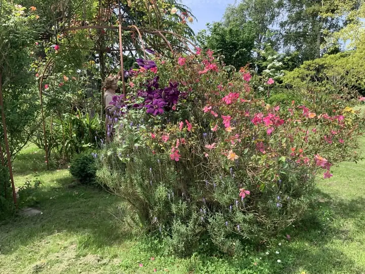 Rendez-vous aux jardins - Le Vicel