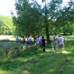 Rendez-vous aux jardins - les jardins du château perdu