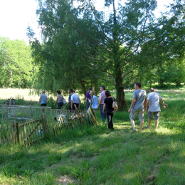 Rendez-vous aux jardins - les jardins du château perdu
