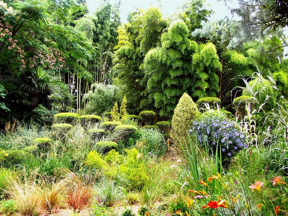 Rendez-vous aux jardins | Plan Buisson