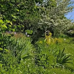 Rendez vous aux jardins : Visite du Jardin d'Artiste à Figeac