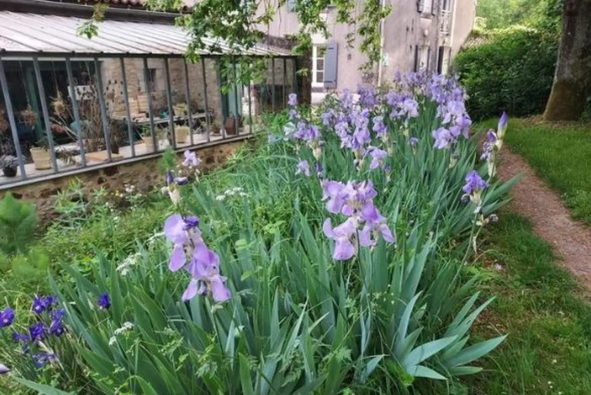 Rendez-vous aux jardins : Visite du Jardin des sens