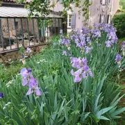 Rendez-vous aux jardins : Visite du Jardin des sens