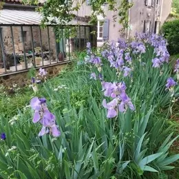 Rendez-vous aux jardins : Visite du Jardin des sens