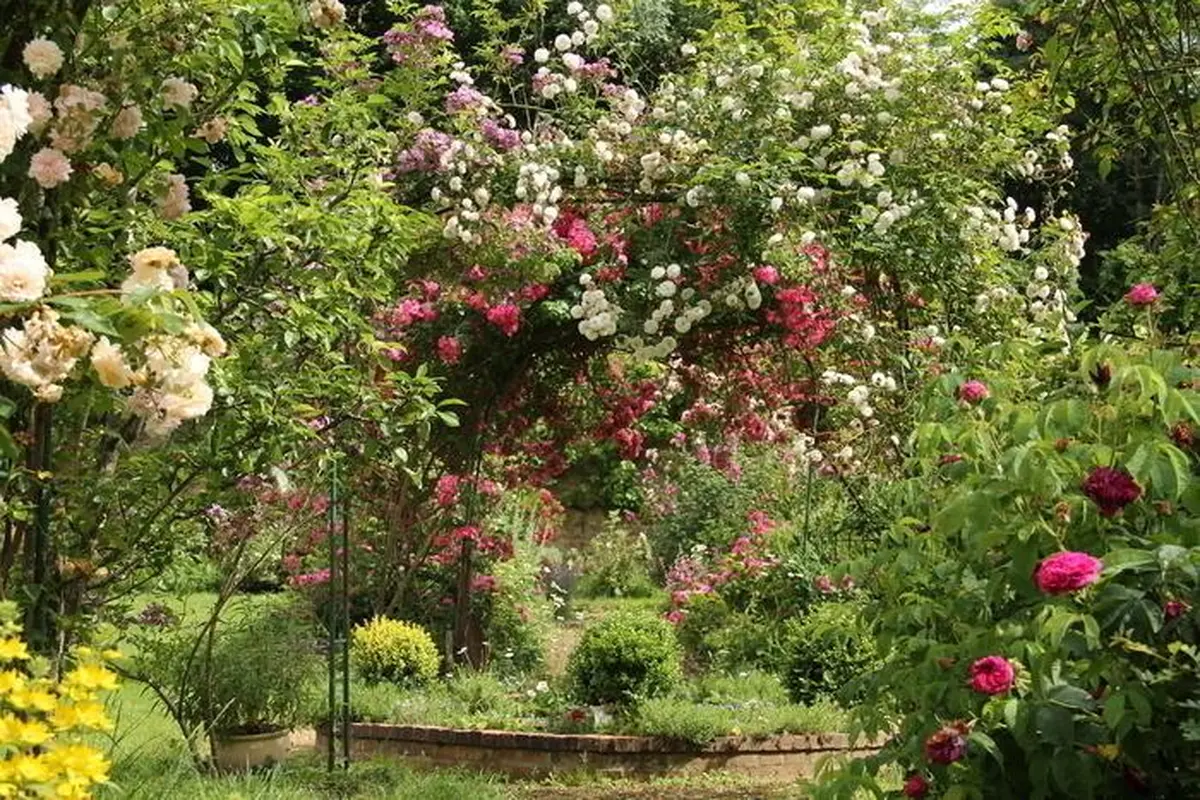 Rendez-vous aux Jardins - Visite guidée du domaine des Roches Blanches