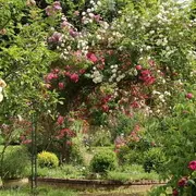 Rendez-vous aux Jardins - Visite guidée du domaine des Roches Blanches