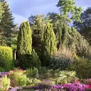 Rendez-Vous aux Jardins : Vue rétrospective : 30ème anniversaire - Les Jardins du Gué