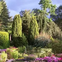Rendez-Vous aux Jardins : Vue rétrospective : 30ème anniversaire - Les Jardins du Gué