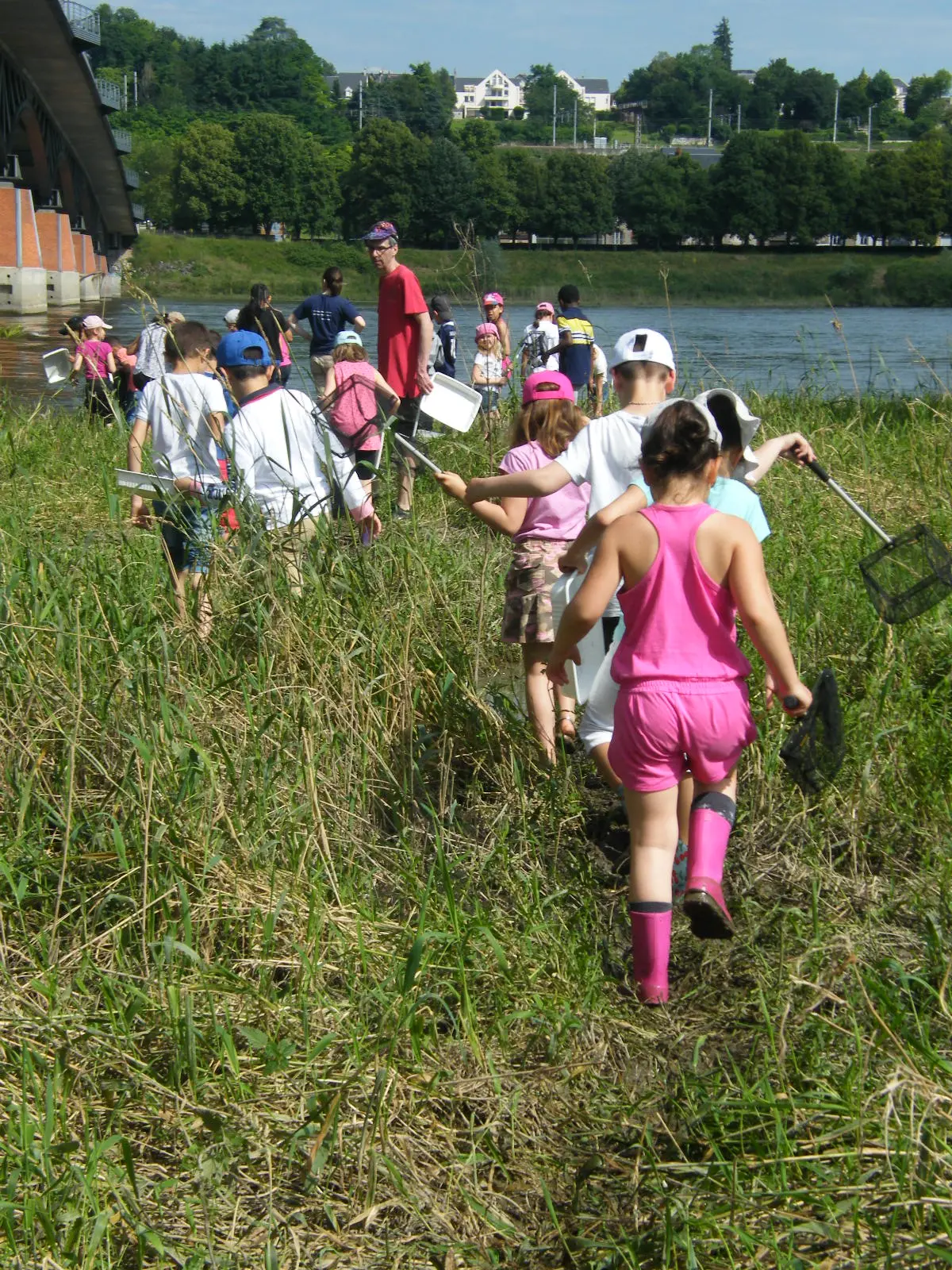 Rendez-vous avec l'Observatoire Loire - Stage nature