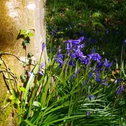 Rendez-vous créatif Des fleurs pour les abeilles, un bouquet pour mamans