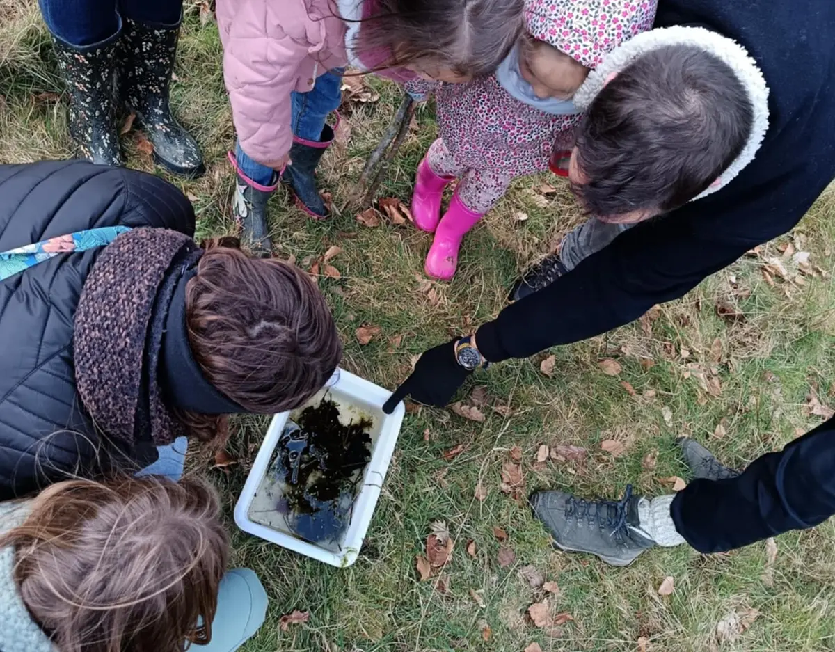 Rendez-vous créatif :  Le printemps dans la mare ! 