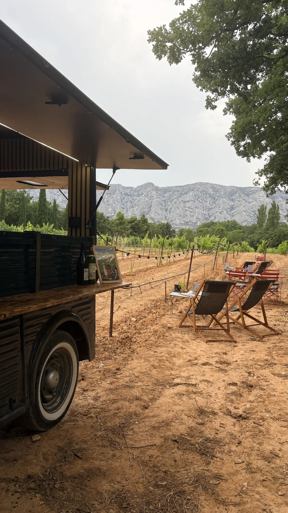 Rendez-vous dans les vignes