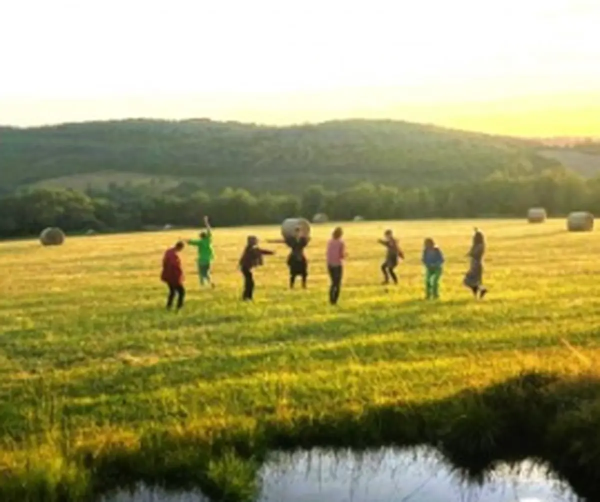 Rendez-vous des curieux - atelier de pratique théâtrale en forêt : vivant-es