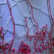 Rendez-vous des curieux - exposition