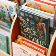 Rendez-vous des petits curieux : “Lectures d’été”
