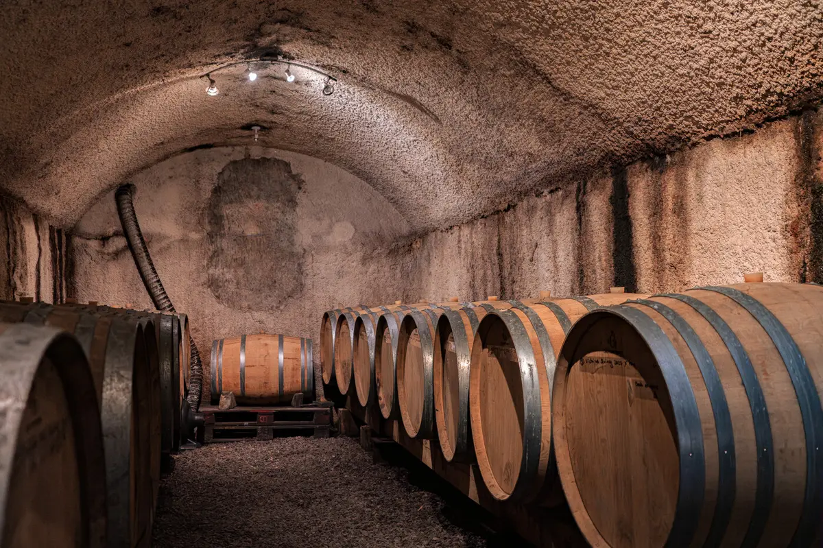 Rendez-vous Di(vin) aux Domaines Tatin