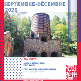 Rendez-Vous Du Pays D'Art Et D'Histoire Visite - Le Site Minier Du Salver