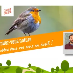 Rendez-vous Nature - Une forêt d'histoires