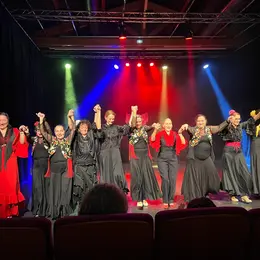 Rentrée flamenco 2026/2027 « Journée portes ouvertes »