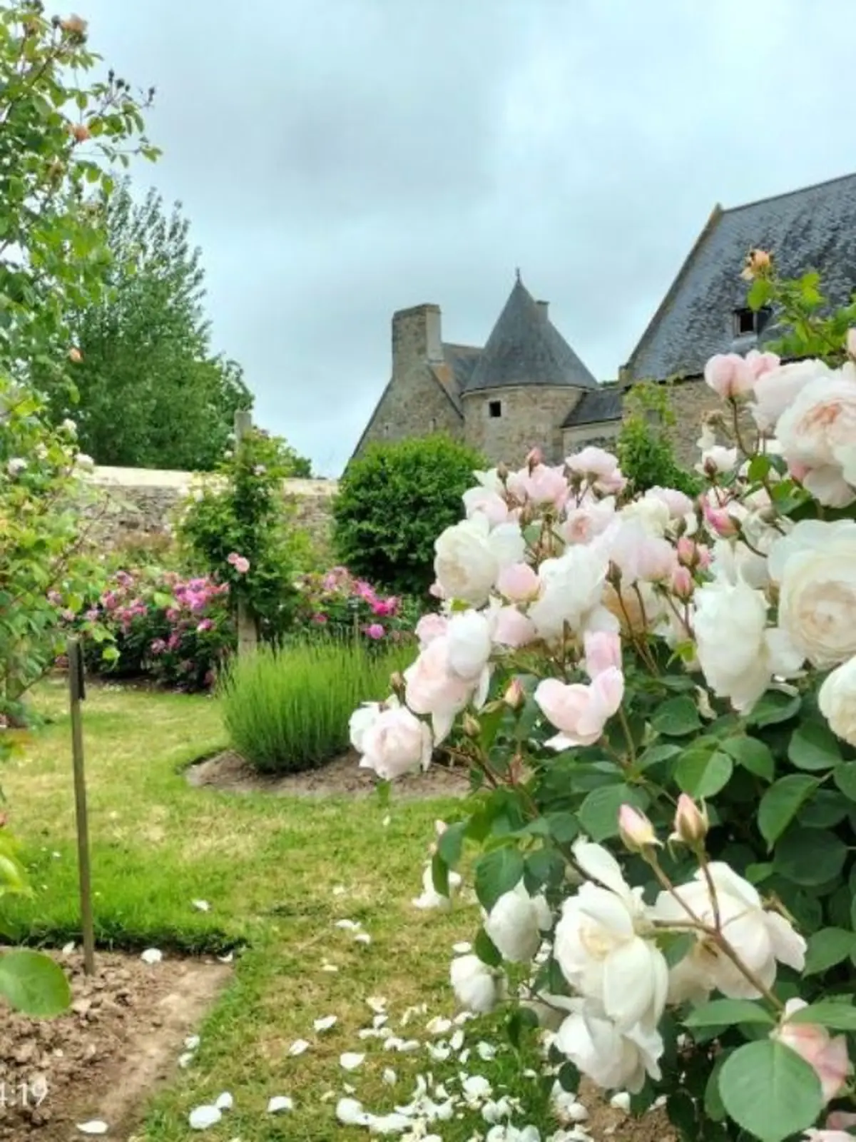 Réouverture du Château de Montfort à la visite
