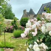 Réouverture du Château de Montfort à la visite