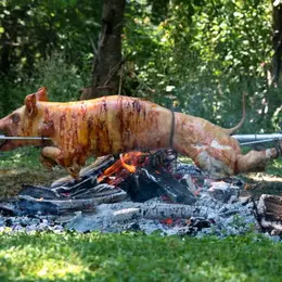 Repas champêtre