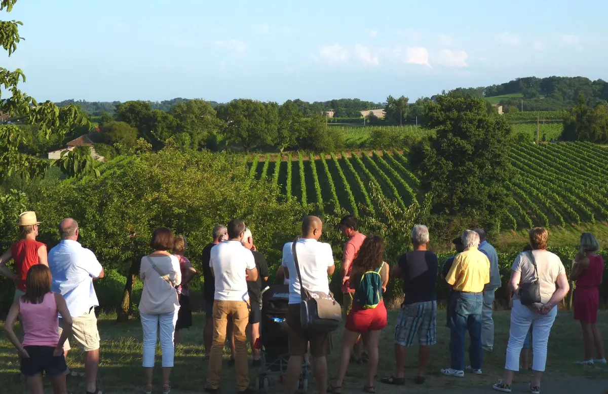 Repas chez le vigneron, au Domaine Dou Bernès