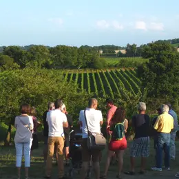Repas chez le vigneron, au Domaine Dou Bernès