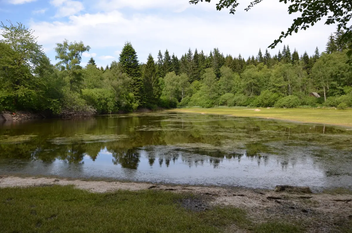 Repas conférence « À la découverte des tourbières du Morvan »