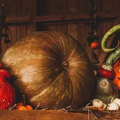 Repas d'automne  par Saint-Quentin Loisirs